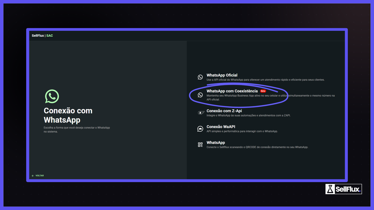 API OFICIAL - Conexão Coexistente