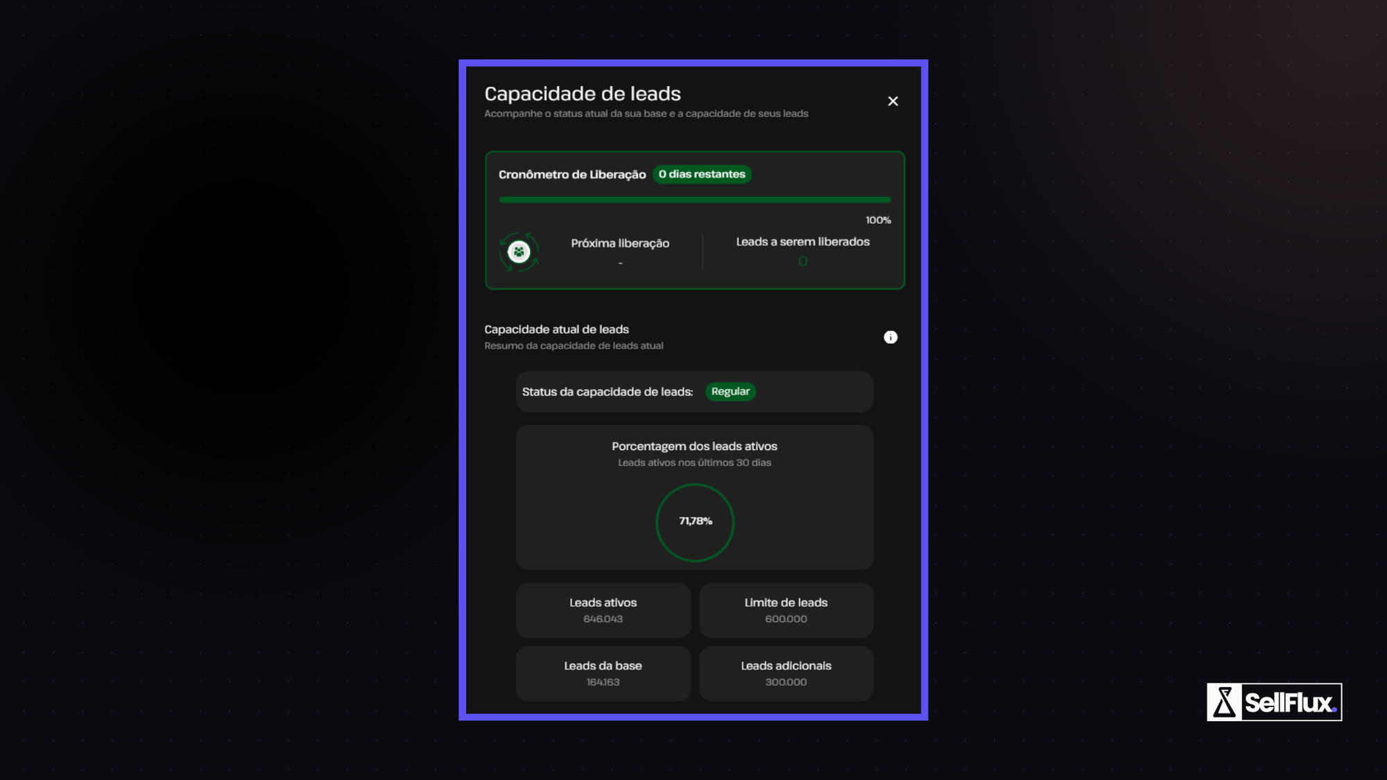 Manutenção dos leads no Sellflux