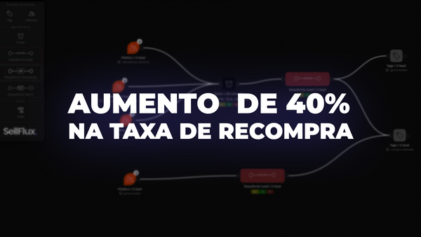 Como este empresário aumentou a recompra do seu e-commerce em 40% usando a SellFlux