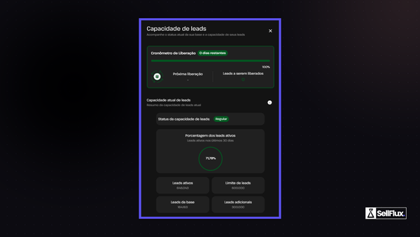 Manutenção dos leads no Sellflux